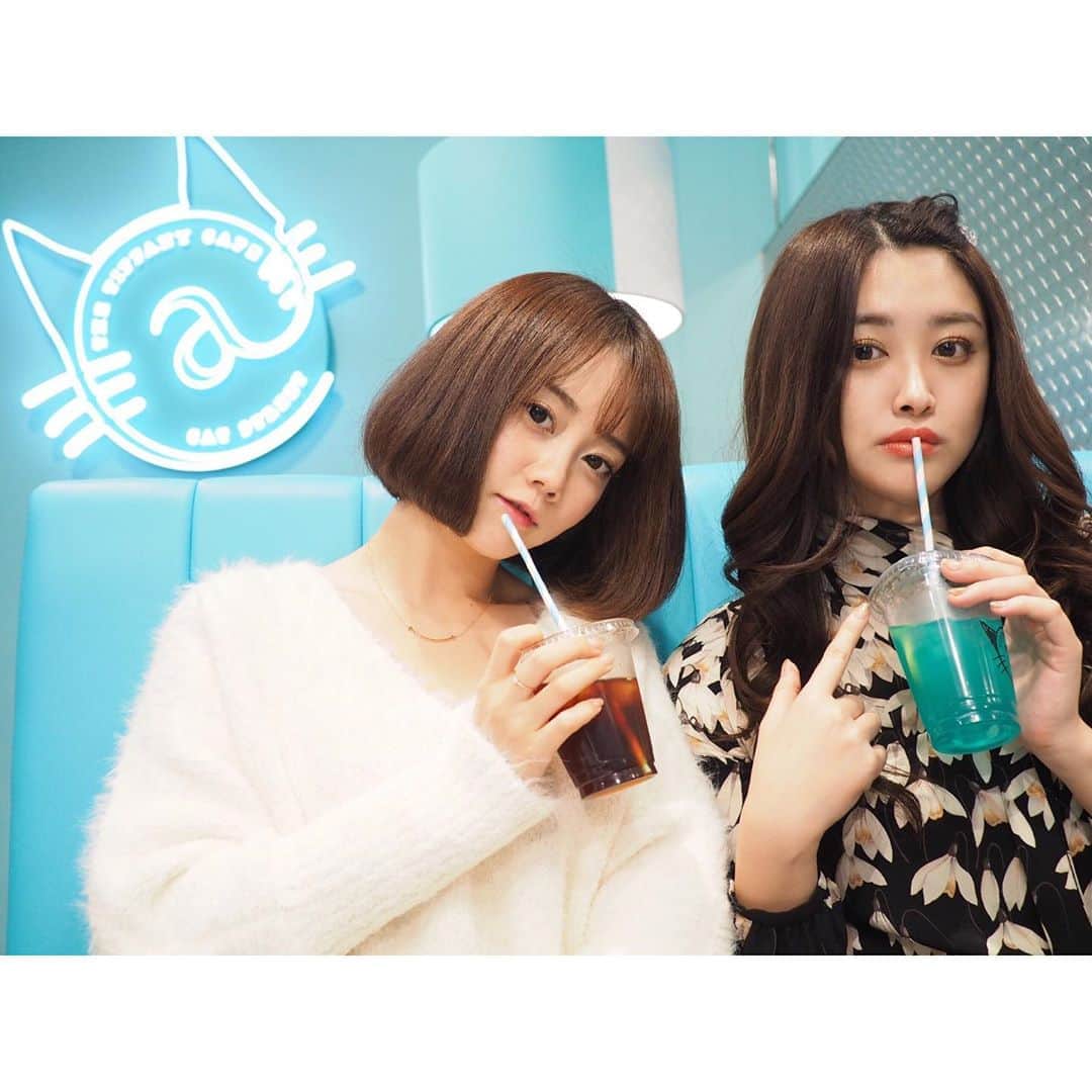 のインスタグラム：「. 今日はにゃんにゃんにゃんの日 2.22🐈 しかも今年は令和2年！！ . 写真はいつかのティファニーカフェで☕️* . . . ちなみに明日は富士山の日だー！ 2.23🗻✨ . . . . . #キャットストリート #ティファニーカフェ #表参道カフェ #原宿カフェ #カフェ巡り #カフェ活 #お写んぽ #珈琲 #コーヒーはブラック派 #東京女子部 #カメラ女子 #カフェスタグラム #ファインダー越しの私の世界 #Tiffany #tiffanycafe #omotesando #ig_japan #cafestagram #igportrait #retrip_tokyo #retrip_cafe  #티파니앤코 #오모테산도 #하라주쿠 #먹스타그램 #카페추천 #카페스타그램 #얼스타그램 #좋아요환영」