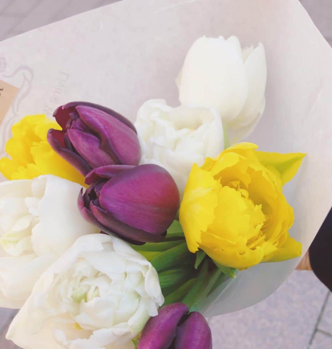 安めぐみさんのインスタグラム写真 - (安めぐみInstagram)「お花を買うのが好きです🌷  今日も穏やかな気持ちで過ごせますように🌱🌿✨ #チューリップ #深呼吸」2月22日 12時07分 - yasu_megumi_official