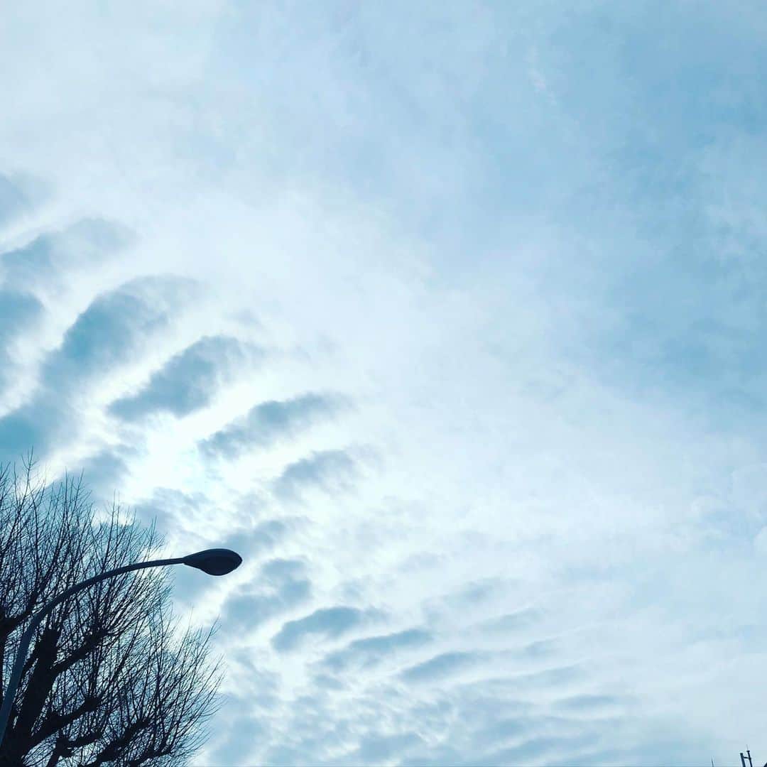 藤田朋子さんのインスタグラム写真 - (藤田朋子Instagram)「風が強いね🌿  #空 #雲 #晴 #週末 #sky #clouds #windy #weekend」2月22日 12時13分 - chiendormant