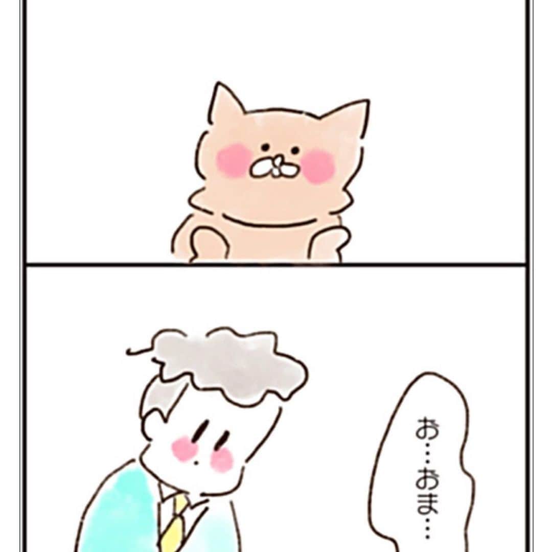 やまもとりえのインスタグラム：「「ねこでよければ」20話です！ 今回は女の子の先輩がお客さん。 （ストーリーかハイライトから読みにいけます） http://comip.jp/nekoyoko/mangas/34 ねこさんは私情をはさむタイプです。」