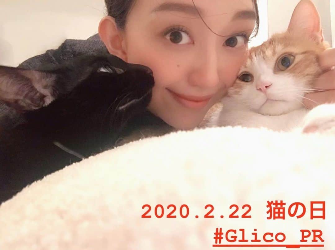 松島花さんのインスタグラム写真 - (松島花Instagram)「: 江崎グリコさんの「神戸ローストショコラ」 という商品のキャンペーンで🎁 #かくれねこ選手権 というハッシュタグをつけて 猫ちゃんが隠れている写真を投稿すると、 その投稿につき22円がグリコさんから神戸市の 『動物愛護支援事業』に寄付される取組を されているそうです🐈❤️🐕 : 神戸市は、日本の市区町村で初めてネコと人との 共生の取り組みを実施されているんです🐾 例えば'ふるさと納税'の寄付金を引き取られた 子猫の #ミルクボランティア 活動への支援や 譲渡する犬や猫の健康管理やワクチン接種などにも 使っています✨ : 皆さん、チョコを食べながら😋🍫 是非かわいい猫ちゃんの写真を投稿して みてくださいね〜❣️よろしくお願いします❣️ : #Glico_PR #かくれねこ選手権  #2020年2月22日 #猫の日 #2月29日(土)まで投稿して下さいね♡」2月22日 12時54分 - hana_matsushima_official