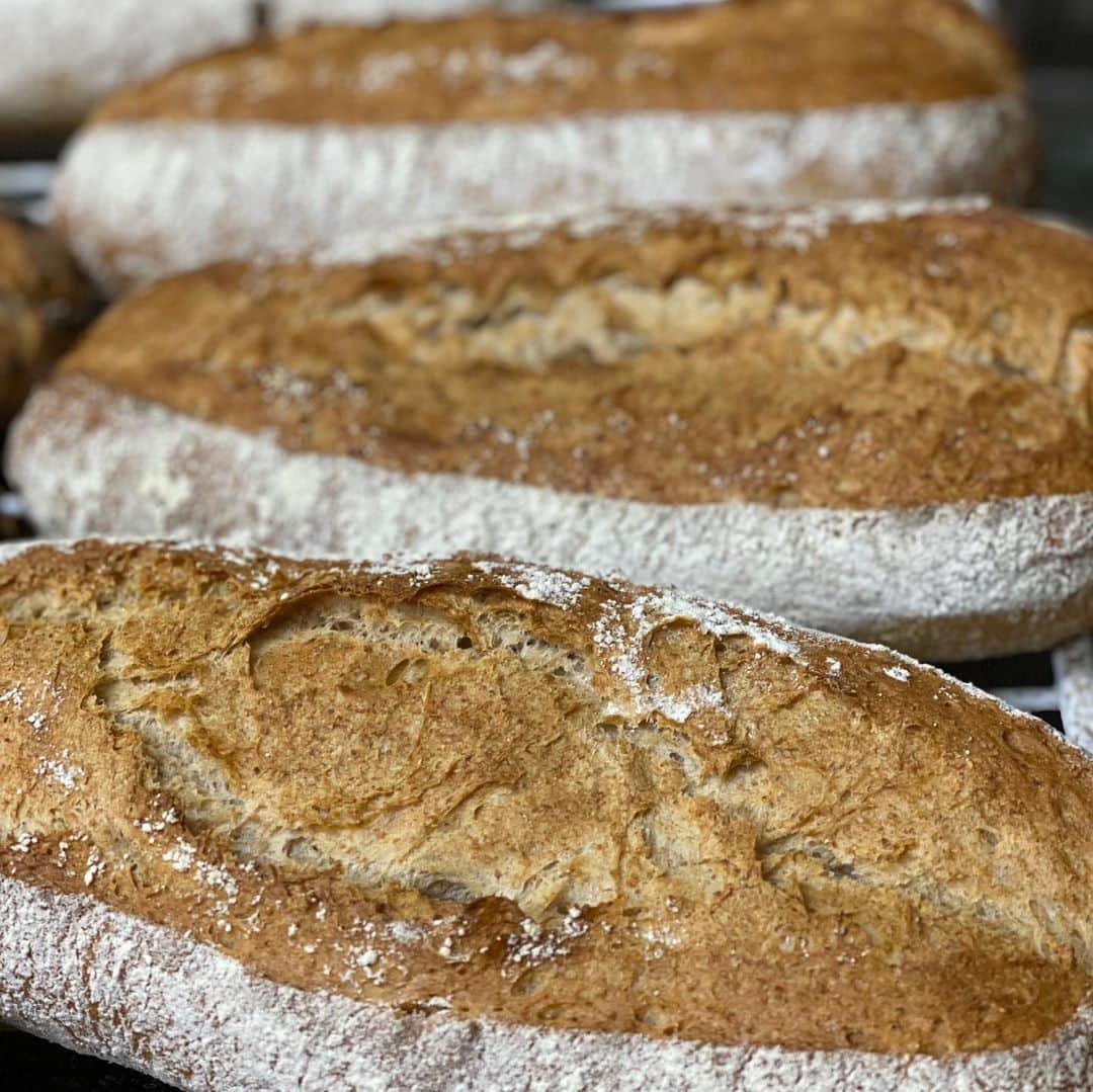 魔女菅原のグルメインスタ