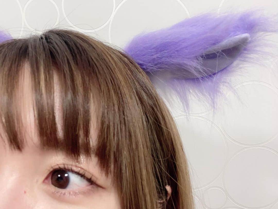 のぐちゆりのインスタグラム：「#ネコぱら シナモンのネコ耳。 シナモンはスコティッシュフォールドなので耳が垂れてるんです！  こんな素敵に作っていただけて嬉しい限り🐈💓 #ネコの日」