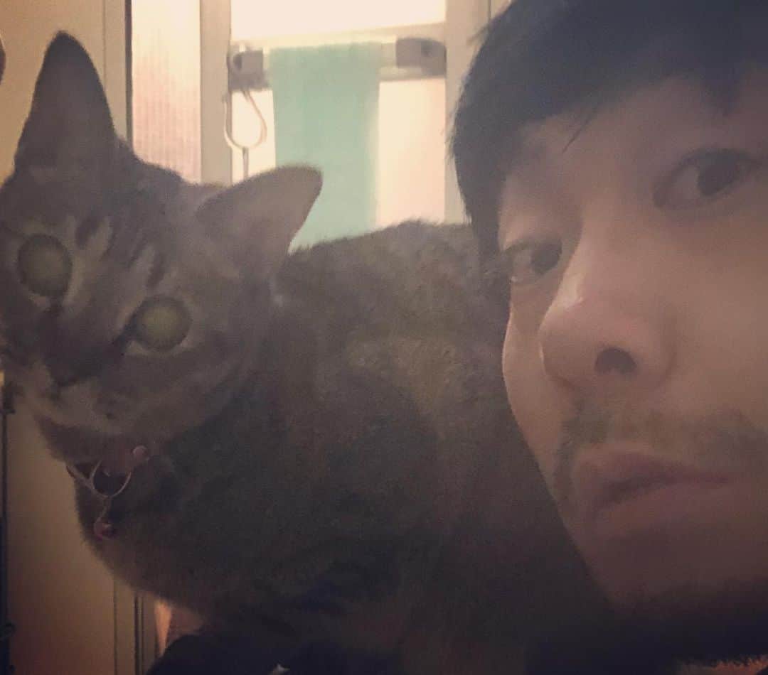 福井俊太郎のインスタグラム：「猫の日2020 #お風呂入ってると必ず来る #扉を開けてくれと #ニャーニャー鳴く #で中に入れるけど #別にこれといって何もない #なんだったら全くこっちも見てくれない #ただ湯気で温まりたいだけなんだと思う #でも自分に言い聞かせる #僕に会いに来てくれてるんだと #無言の猫（うじ）ちゃんの背中を見ながら #ずっと無視されながら #僕は目を細めて #微笑んでいる #2月22日 #ニャーニャーニャー #猫の日 #低くねっとりした声で」