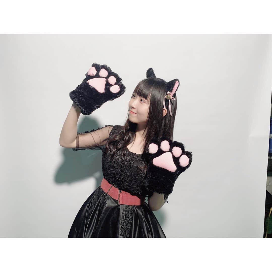 井上瑠夏のインスタグラム：「🐱🐱🐱﻿ ﻿ インスタグラムにも...💭🐈﻿ ﻿ ﻿ ﻿ ﻿ #2月22日﻿ #猫の日﻿ #ねこ﻿ #すべりこみ..💨笑」