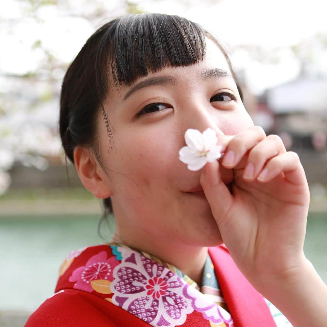 金沢着物レンタルshop心結〜kokoyui〜さんのインスタグラム写真 - (金沢着物レンタルshop心結〜kokoyui〜Instagram)「今年の桜は早そうですね。  素敵なお写真ありがとうございます -----*----*------*-----*----*-------- @kokoyui_kimono  金沢駅前着物レンタル心結ここゆい 9:00〜18:00 address  金沢市本町1-3-39 ☎️076-221-7799 🚃金沢駅から徒歩5分 🅿️コインパーキング補助  @kokoyui_furisode 成人式 @kokoyui753  七五三 -----*----*------*-----*----*-------- #金沢観光　#kimono #japan #アンティーク着物　#金沢きもの　#金沢きもの散歩　#レトロ着物　#金沢きものレンタル　#金沢ランチ　#金沢デート #金沢きもの 　#金沢着物　#ロケーション撮影　#金沢着物レンタル　#加賀友禅 #金沢観光　#ロケフォト　#東茶屋街　#兼六園　#21世紀美術館　#旅　#ファインダー越しの私の世界　#カメラ好きな人と繋がりたい　#女子旅　#kimonorental #myfav  #振袖レンタル #和服 #和服體驗 #着物 #金沢グルメ #彩プラン」2月22日 15時39分 - kokoyui_kimono