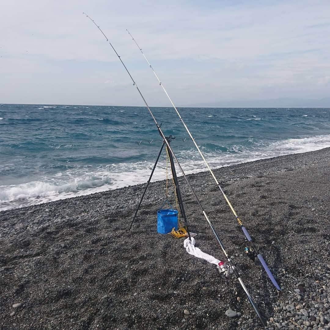 松本康太さんのインスタグラム写真 - (松本康太Instagram)「今日は静岡県でお仕事(*^^*) 少し早めに来て海で投げ釣り♪  唯一釣れたのが小さなお魚さん♪  #静岡県 #沼津 #釣り #海釣り #投げ釣り #レギュラー松本 #あるある探検隊」2月22日 16時45分 - aruarutankentai.matsumoto