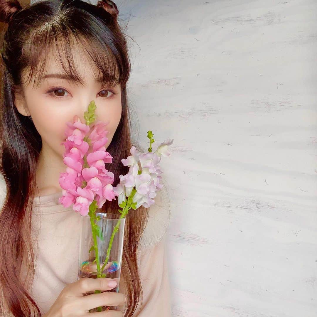 mycoのインスタグラム：「なんていうお花だろ💐 面白い髪型でしょ🤣  #flower #instagood #眠い」