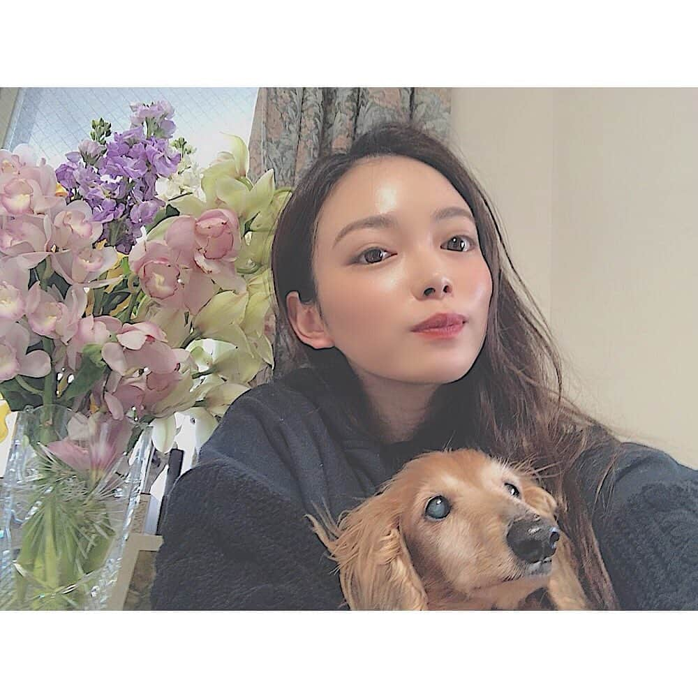 竹本萌瑛子さんのインスタグラム写真 - (竹本萌瑛子Instagram)「💐🐶🖤 . もうすぐ15歳だけど まだまだ元気なくいしんぼー！ 会える時にたくさんらぶー！ . #こころ #ミニチュアダックス  #ミニチュアダックスフンド  #実家犬 #ダックス #ダックスフンド」2月22日 17時21分 - moeko_takemoto