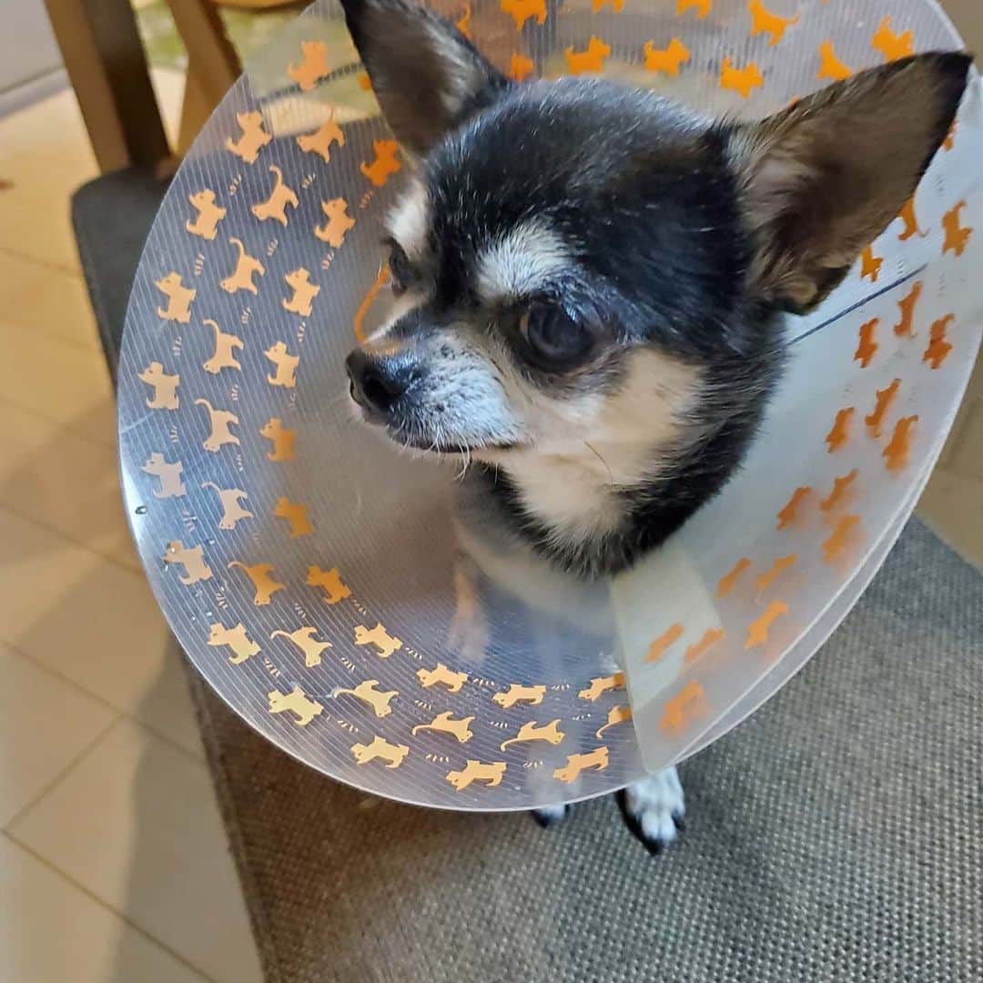 新井義幸のグルメインスタ