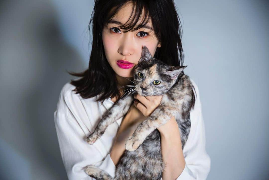 吉田友利恵さんのインスタグラム写真 - (吉田友利恵Instagram)「#猫の日#同じ表情#🐈」2月22日 17時47分 - _yurieyoshida_