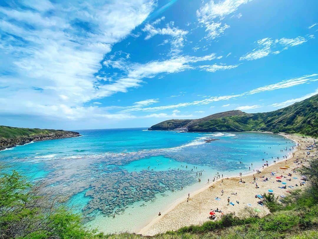 伊瀬茉莉也さんのインスタグラム写真 - (伊瀬茉莉也Instagram)「🐠🏝⛱ #imisshawaii  今年の夏は焼きたい気分☀️」2月22日 17時46分 - mariya_ise