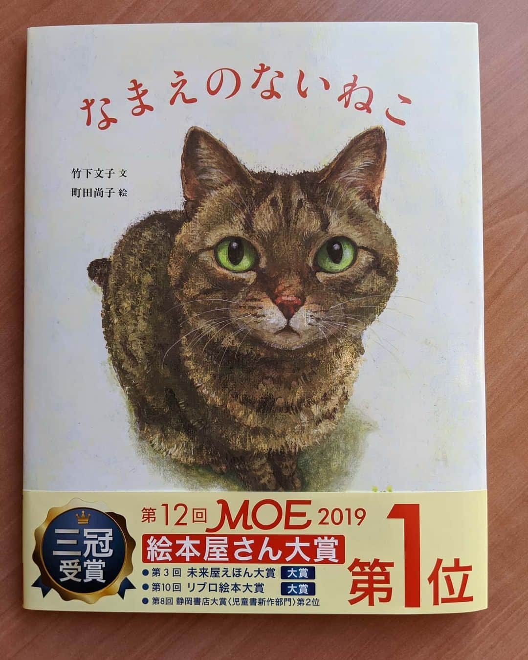 小林麻耶さんのインスタグラム写真 - (小林麻耶Instagram)「🐾 2020年令和2年2月22日(=^・^=) 第12回MOE2019 絵本屋さん大賞第１位 「なまえのないねこ」  読まれた方いらっしゃいますか‼️ 本屋さんで見かけて✨読んだらホロリ。 心に響き、大切にしたいと、連れて帰ってきました😽  #絵本読み聞かせ #なまえのないねこ」2月22日 17時58分 - maya712star9