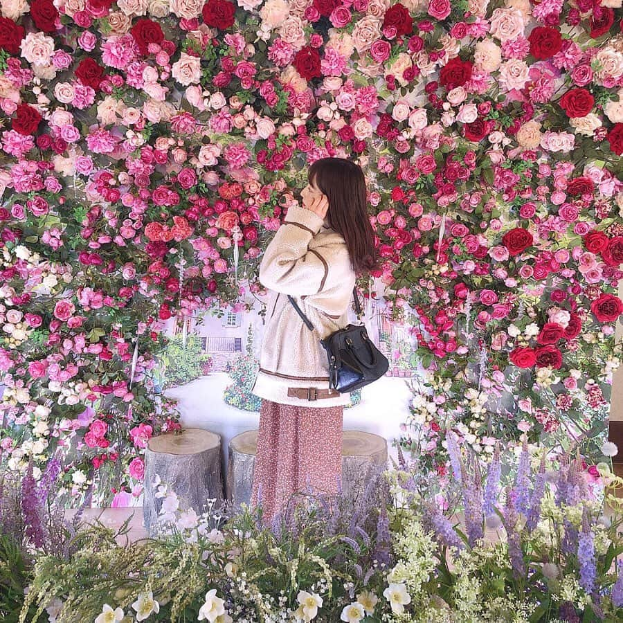 日下部愛菜さんのインスタグラム写真 - (日下部愛菜Instagram)「神奈川県の箱根にあります🐇🥀」2月22日 18時35分 - aina_kusakabe