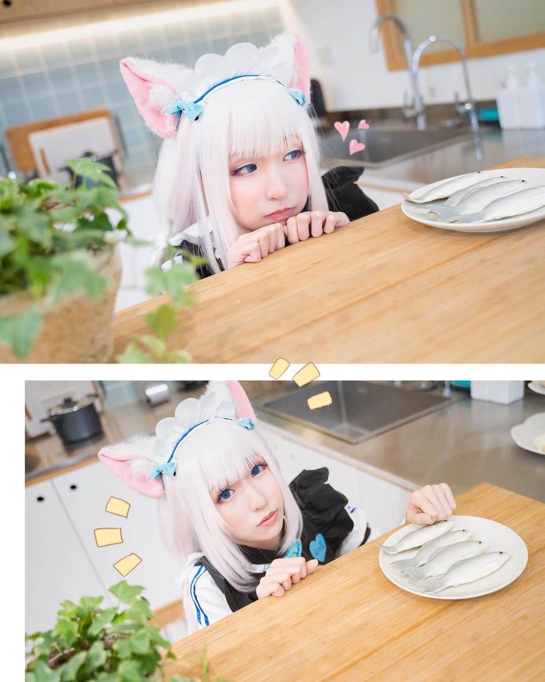 Sherryさんのインスタグラム写真 - (SherryInstagram)「- ニャー、ニャー！！ #cosplay #nekopara #ネコぱら #vanilla #バニラ #silverxherecosplay #猫の日」2月22日 18時46分 - silverxhere