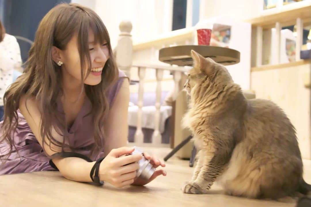 ホームランなみちさんのインスタグラム写真 - (ホームランなみちInstagram)「🐱 . 猫の日だからね、前にワークショップで撮って頂いた写真📷♡ #🐱 #cat #猫の日」2月22日 19時15分 - nami_onpu_uta