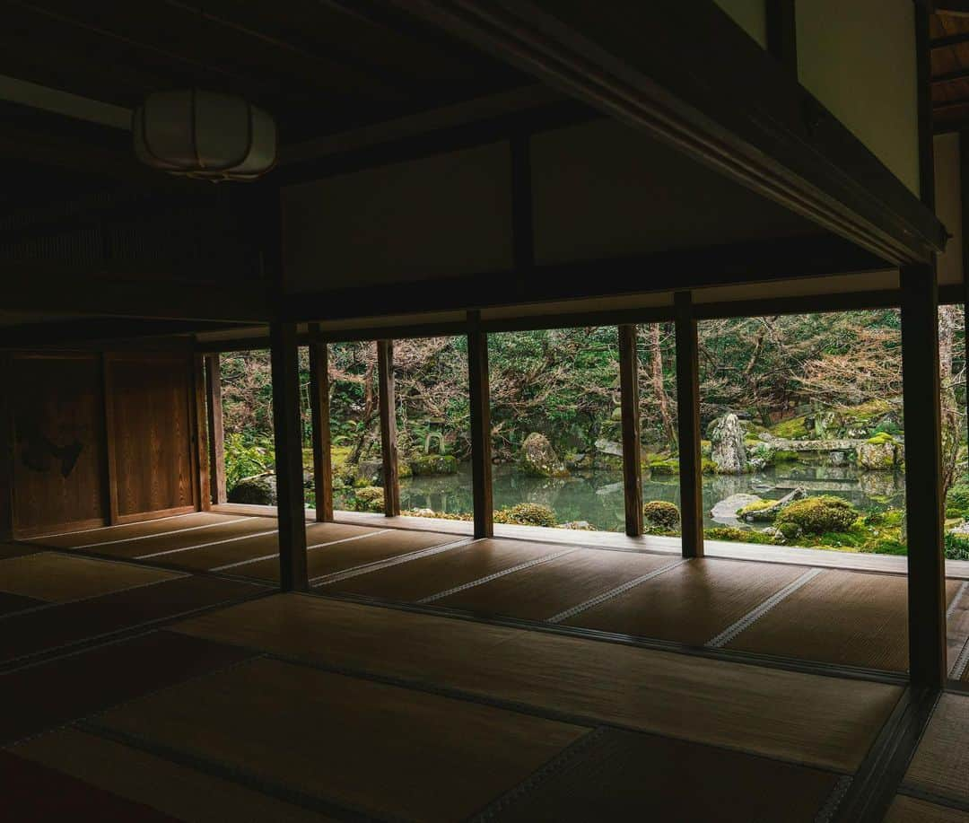 山口淳一さんのインスタグラム写真 - (山口淳一Instagram)「Silent.. — #japan #kyoto #rengejitemple #temple #nature #beautiful #日本 #京都 #蓮華寺 #寺 #自然」2月22日 19時47分 - junichi_yamaguchi