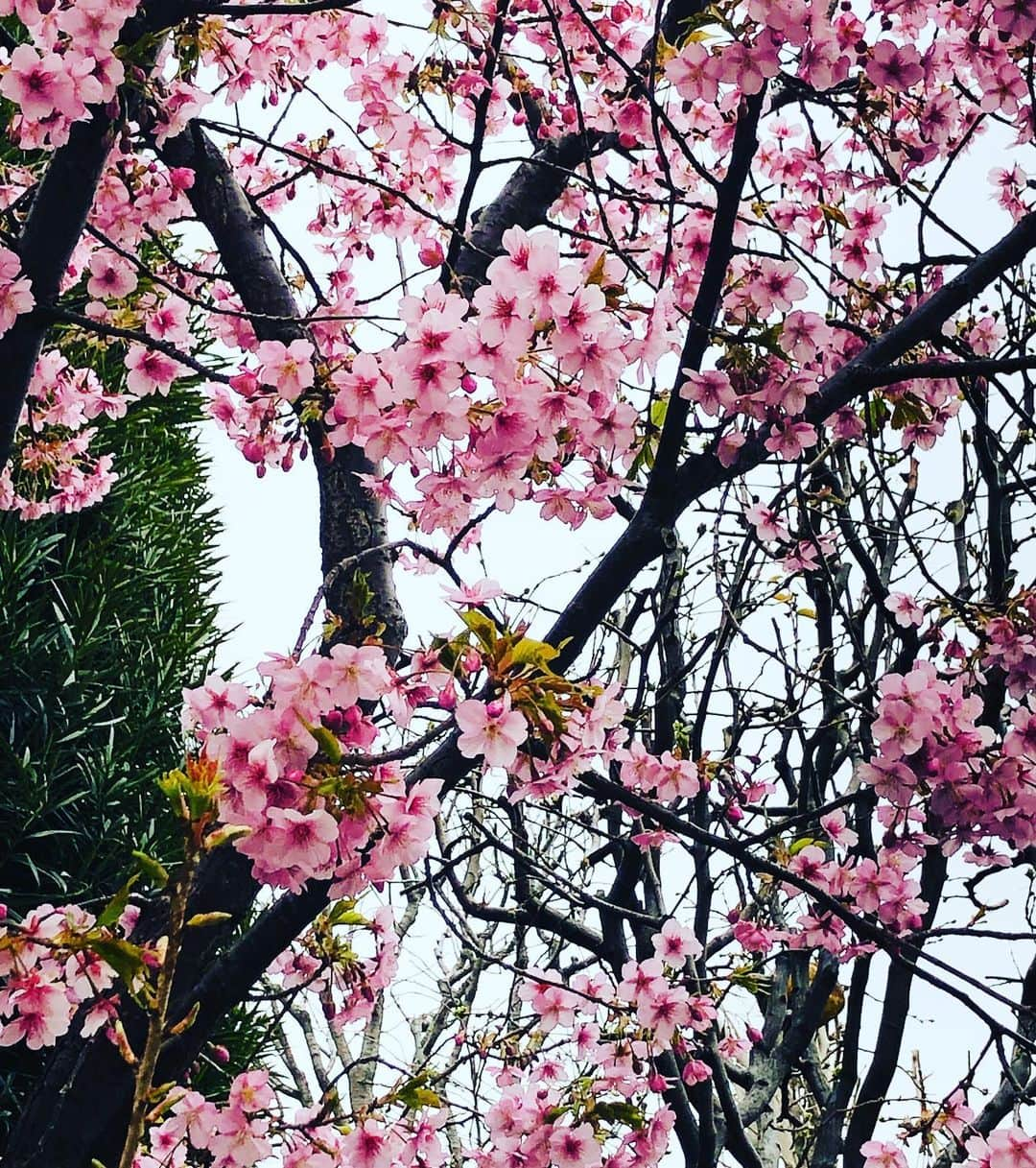 逸見太郎のインスタグラム