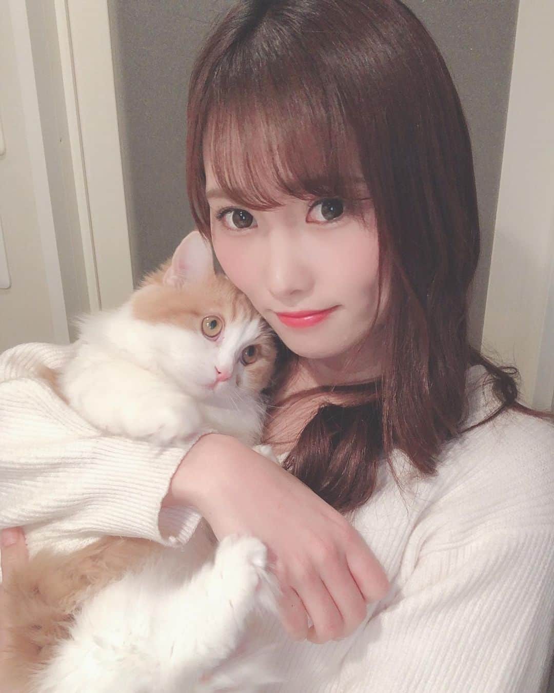 佐野友里子のインスタグラム：「猫の日なので🐈💛 愛するウニちゃんとの2ショット集です💓💓💓 . #猫の日 #ねこの日 #にゃんすたぐらむ #ねこすたぐらむ #ミヌエット #ウニの成長記録」