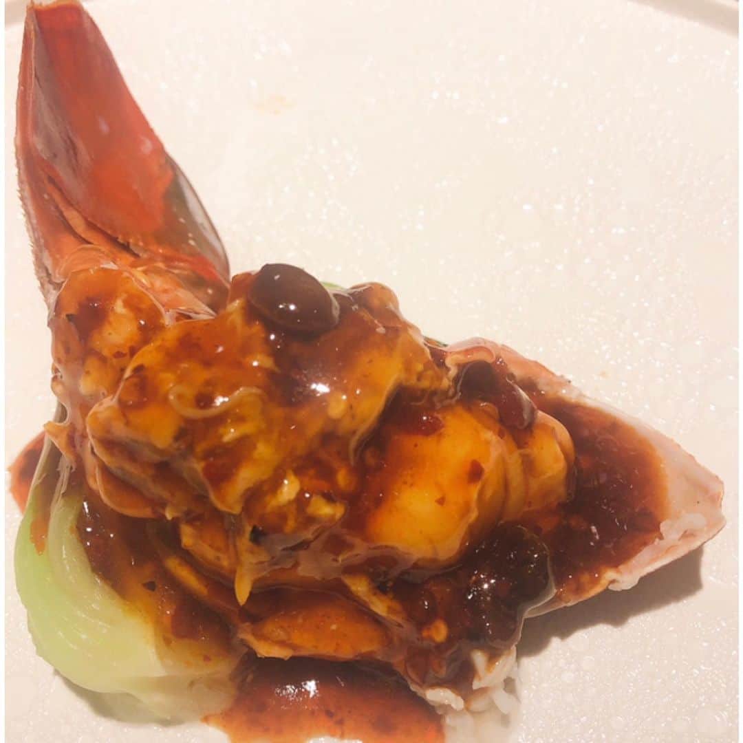 山田優依さんのインスタグラム写真 - (山田優依Instagram)「4000 Chinese Restaurant . とっても気さくで楽しい菰田シェフの四川料理 . 伊勢海老、北京ダック、デザートのトウファと、 何から何まで最高でした . ごちそうさまでした✨ . #japan #tokyo #Aoyama  #Hiro #Chinese #4000ChineseRestaurant」2月22日 20時43分 - yui_gourmetwalker