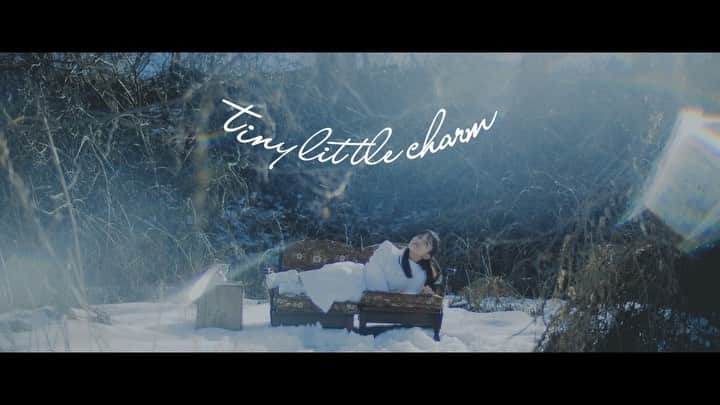 バンのインスタグラム：「【Music Video🎬】 ﻿1st full album「2○2○4」を4/18にリリースします！「2◯2◯4」より『flora』のMusic Videoを公開します！  主演 : 金森朱音 演出 : 吉田ハレラマ 衣装 : SONAR utsunomiya 和田佳久 振付 :  諸岡美里 撮影協力 :  橋田来希  full ver▷ https://youtu.be/1yMfIvUOWTs  いつか訪れる春の歌💐 たくさんの人に届きますように🎻  #tinylittlecharm #tlc #吉田ハレラマ #金森朱音 #flora #フルアルバム」