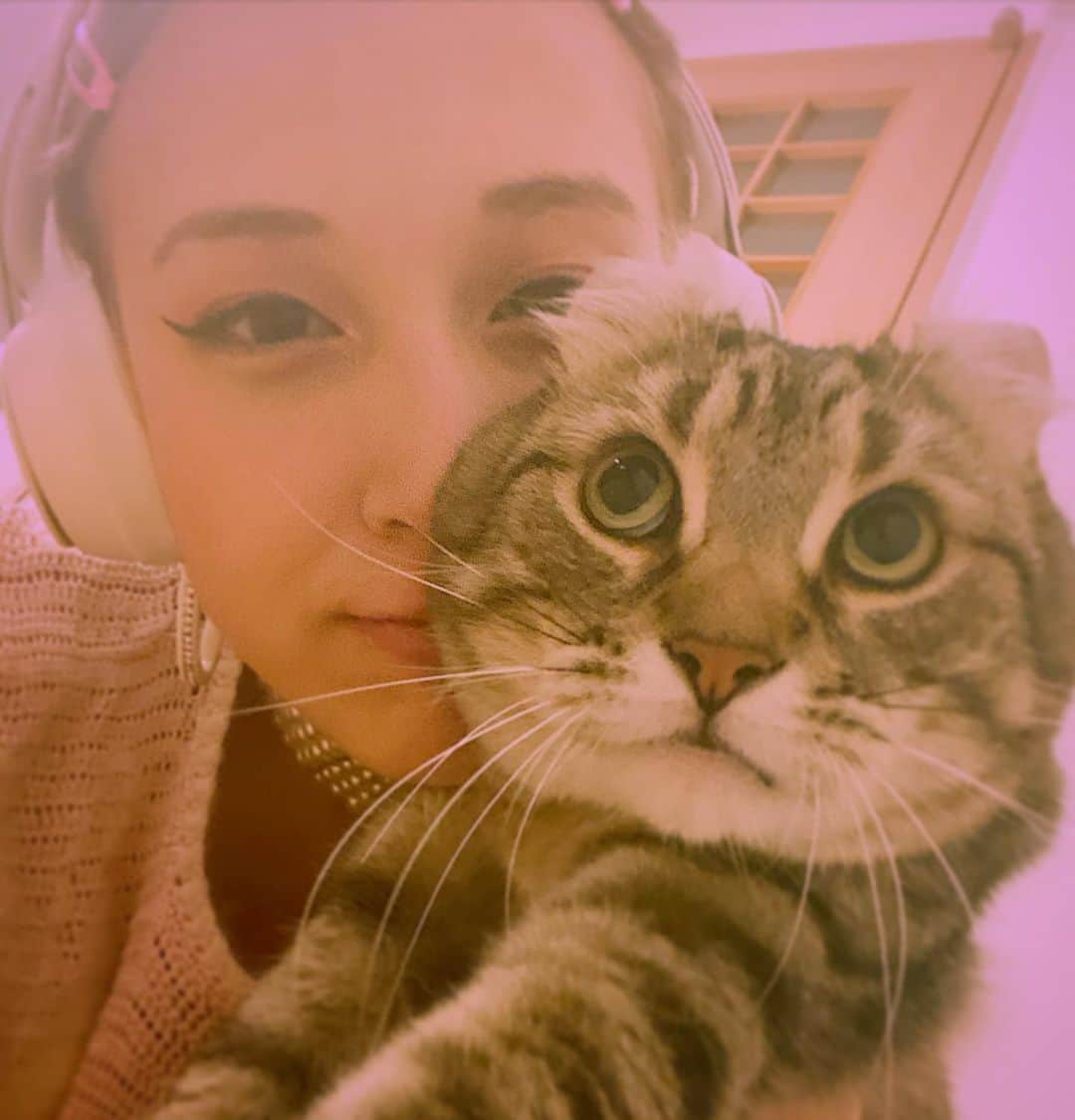 水原佑果さんのインスタグラム写真 - (水原佑果Instagram)「I love u baby 🐱💖 #catday #2/22#猫の日」2月22日 21時16分 - ashley_yuka