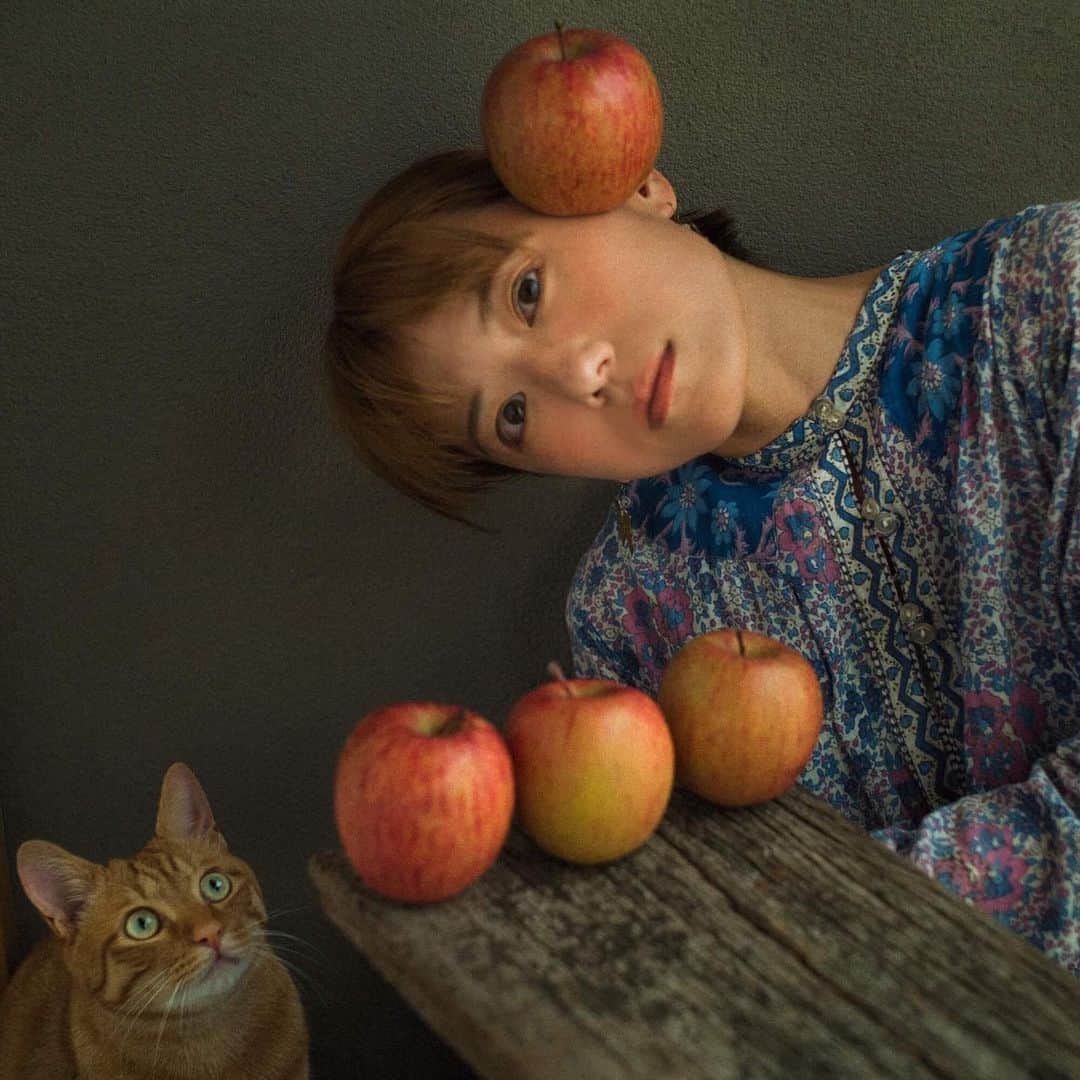 甲斐麻美さんのインスタグラム写真 - (甲斐麻美Instagram)「222 今日は猫の日だ🐅  #ねことわたし #猫のいる暮らし #元保護猫 #茶トラ #〇〇とわたし #りんごとわたし #林檎とわたし #リンゴとわたし #甲斐麻美」2月22日 21時24分 - kaico_asami