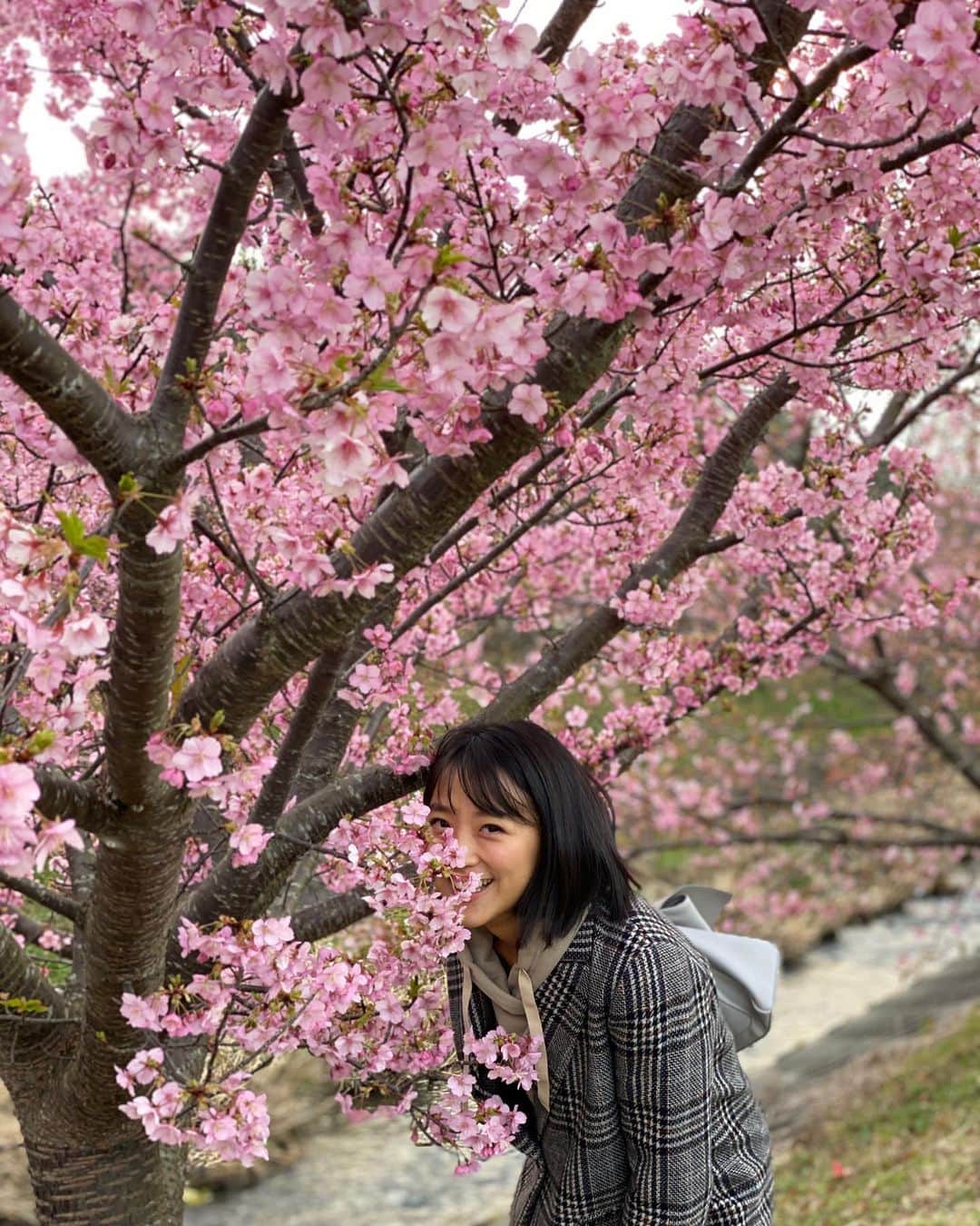 竹内由恵さんのインスタグラム写真 - (竹内由恵Instagram)「休日は近所でお散歩して過ごすことが多くなりました。  先日見に行った河津桜。  少しずつ暖かくなってきましたね。  #河津桜#静岡#意外と花見客少ない#穴場#この日は六分咲きってとこかなあ」2月22日 21時59分 - yoshie0takeuchi