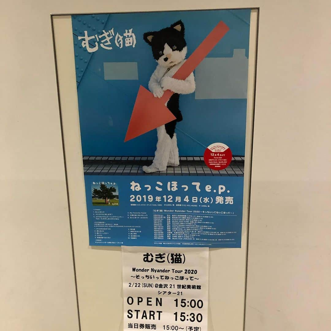 南早苗さんのインスタグラム写真 - (南早苗Instagram)「もひとつ、猫の日にちなんで😸 昨日のFlyin'Pop(エフエム石川　金曜AM11時半から放送中)で、 猫ミュージシャン「むぎ(猫)」ちゃん @mugithecatokinawa  に登場してもらいました💓 歌って踊って、木琴などの楽器も演奏するというむぎちゃん。 これまでフジロックフェスやライジングサンロックフェスなどにも出演、昨年はメジャーデビューもされています。 もう〜私のテンションは上がりっぱなしでした！ むぎちゃんのフォルムについては、ラジオなのにそこまで詳細には話さなかったので、リスナーの皆さんの中で様々な想像が膨らんだようですw  そして、今日。猫の日に、金沢から全国ツアースタート！ むぎちゃんが奏でる木琴の音色。 むぎちゃんから発せられる歌声や言葉。 じわじわと温かさが伝わってきて、体がほぐれていきました💓 なんだろー。。忘れていた感覚を取り戻せた気分です✨  むぎちゃんの「息切れ」もこのライブの醍醐味ですよーww  それにしても、うちのにゃんずにも芸を身につけてもらいたいなぁ😆  #むぎ猫　#ねっこほってep  #沖縄　#保護猫　#保護猫活動団体支援　#猫　#cat #FlyinPop #エフエム石川　#ラジオ　#ラジオパーソナリティ　#猫好き　#猫の日」2月22日 22時05分 - minamisanae