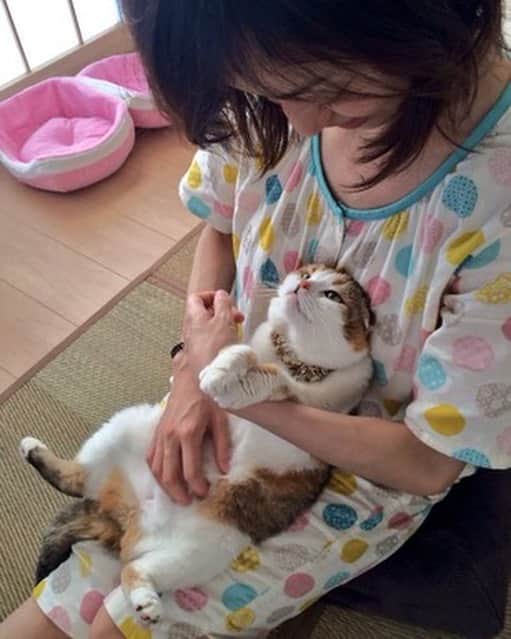 及川奈央さんのインスタグラム写真 - (及川奈央Instagram)「‪2020.2.22 22:22‬ ‪#猫の日 ということで‬ ‪愛猫、みく♡6がつで15さい‬ 愛猫、ラン♡7がつで15さい 大切な家族。Thank you いつまでも健康で長生きしてね。love」2月22日 22時22分 - naooikawa