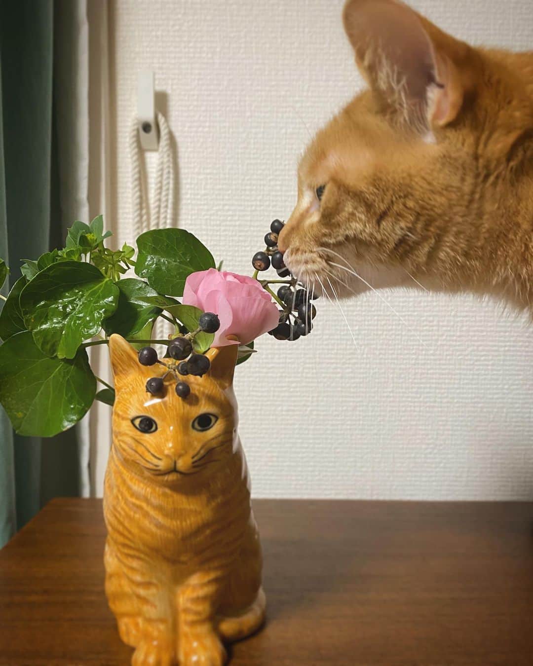 山口愛実さんのインスタグラム写真 - (山口愛実Instagram)「猫の日なのに 気圧のせいか片頭痛がひどく 1日眠ってました🐈 携帯の中は猫と娘の画像で 溢れているというのに💧  #猫の日 #我が家は毎日が猫の日」2月23日 1時14分 - manami_0331