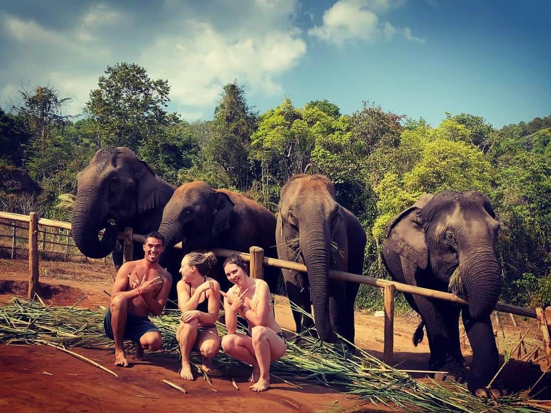セリーヌ・バン・ガーナーのインスタグラム：「Solidly hanging out with my American buddies and some 🐘🐘」