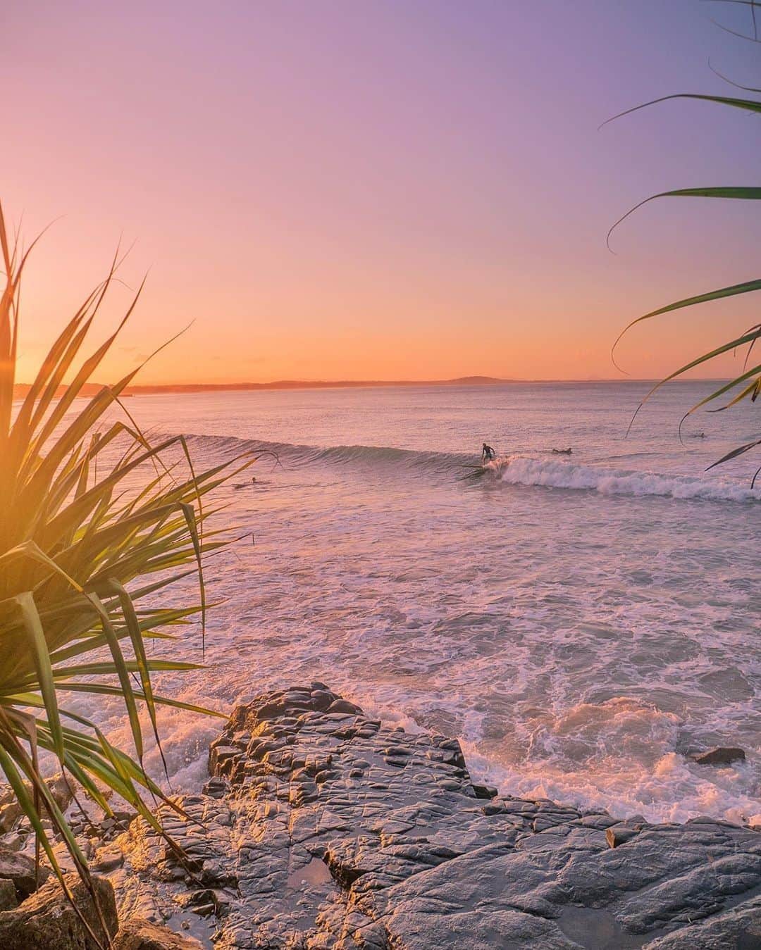 Australiaさんのインスタグラム写真 - (AustraliaInstagram)「@visitnoosa you’re looking rather swell! 🌊 @_markfitz got a front-row seat to this spectacular #sunset at this @queensland beach town, where @noosa_festival_of_surfing just kicked off this weekend. Over nine days, surfers get together to enjoy epic waves, live music, parties, and there's even a Dog Surfing Championships (that's right, surfer-dogs!). Pack your cossies, go on a #HolidayHereThisYear and make sure you treat yourself to a post-surf dinner at @noosabeachhouse, @rickys_noosa or @noosaboathouse - all perfect for a delicious meal with a side of panoramic #beach views.  #seeaustralia #thisisqueensland #sunshinecoast #noosa #surfing #noosafestivalofsurfing」2月23日 3時00分 - australia