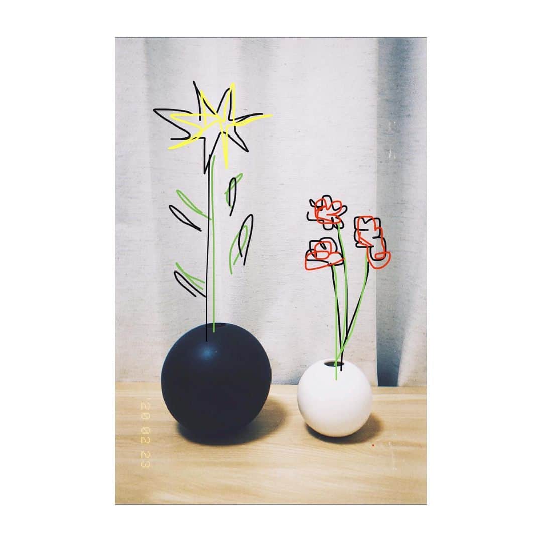 加村真美さんのインスタグラム写真 - (加村真美Instagram)「花瓶買っても、花がない  #白いの396円だった #やすい #可愛い #花がんばっても #秒で枯れる #なぜ」2月23日 3時15分 - kamura_mami