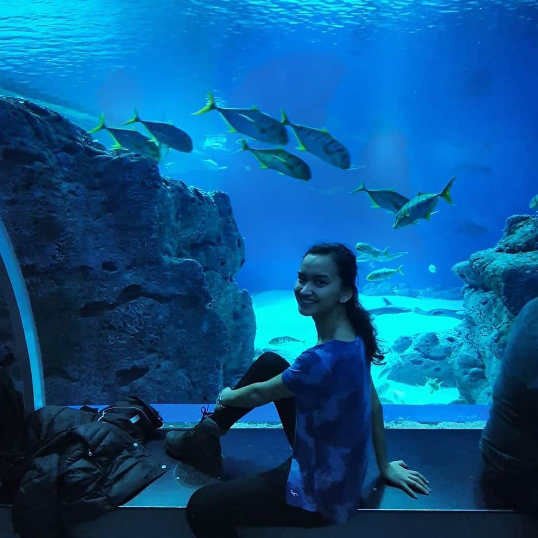 アンネ・リネ・ヤシェムのインスタグラム：「Den blå planeten 🐠🐙🦈🐢🦞🐟」