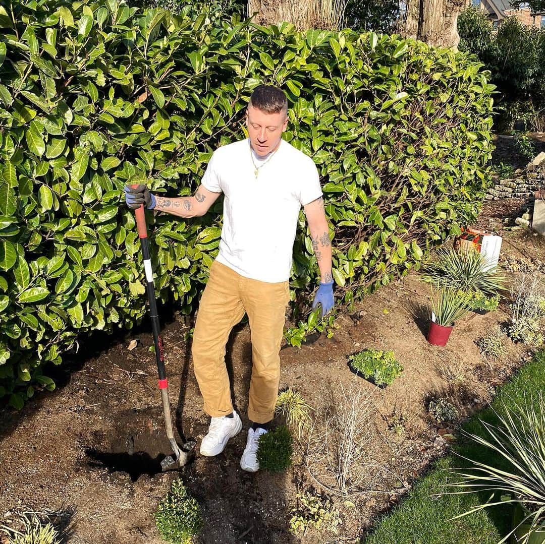 マックルモアーさんのインスタグラム写真 - (マックルモアーInstagram)「Yesterday I did yard work for the first time in my adult life.  Needless to say, I had to get a photoshoot off.  My wife reluctantly took pictures of me so I could flex on the internet and prove to my dad that I too am a handyman.  Guess ima Gardner now or something 🤷🏼‍♂️ #yardwork #homedepot #gardenfashion #fixit #tendtotheland #soil #worms #hardware #rakes」2月23日 5時50分 - macklemore