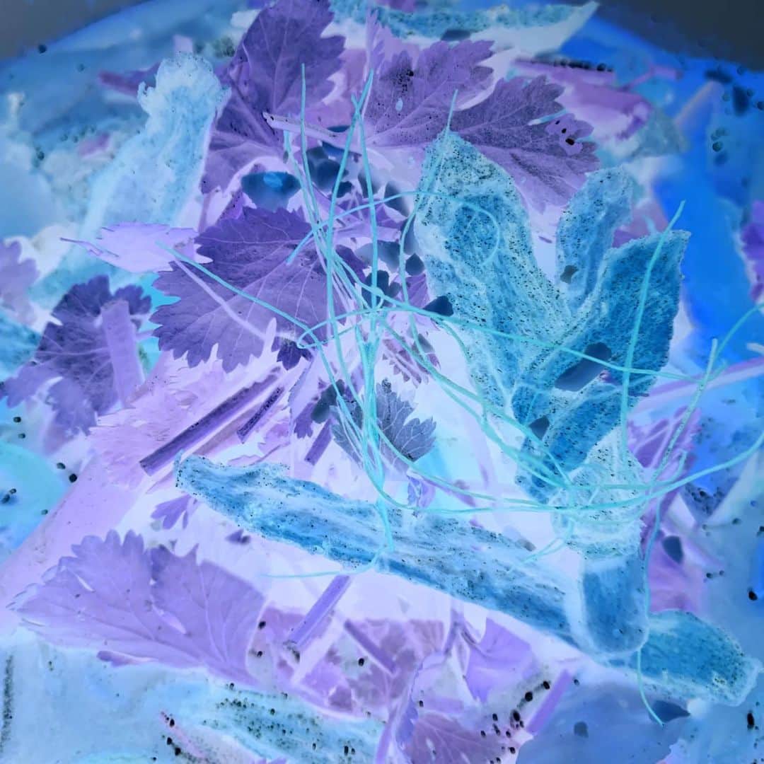 木村花のグルメインスタ