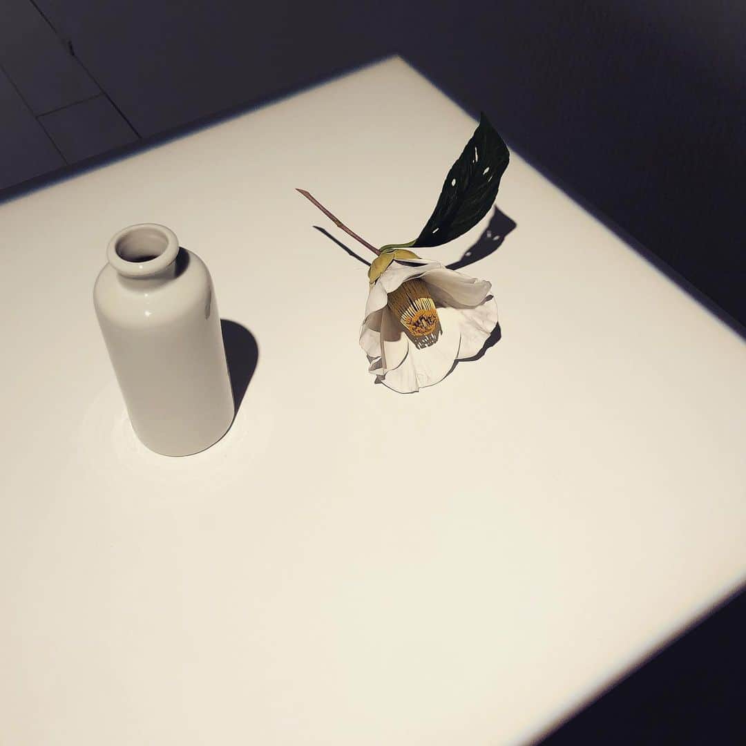 西山由のインスタグラム：「“ Camélia “ par Yoshihiro Suda.」