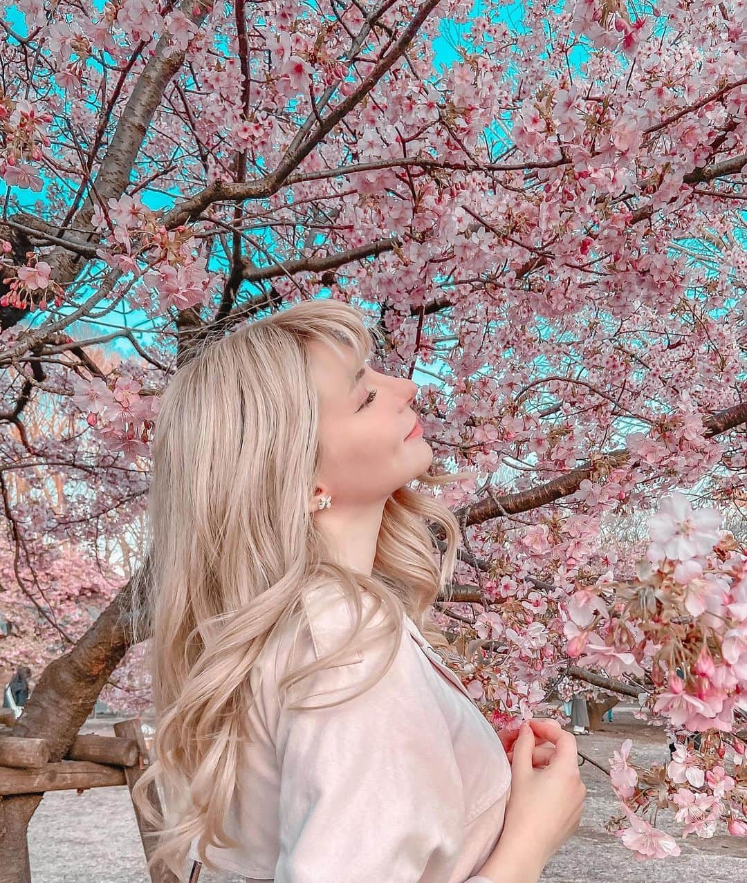ソフィーさんのインスタグラム写真 - (ソフィーInstagram)「First Sakura of 2020! 🌸」2月23日 17時59分 - peachmilky_