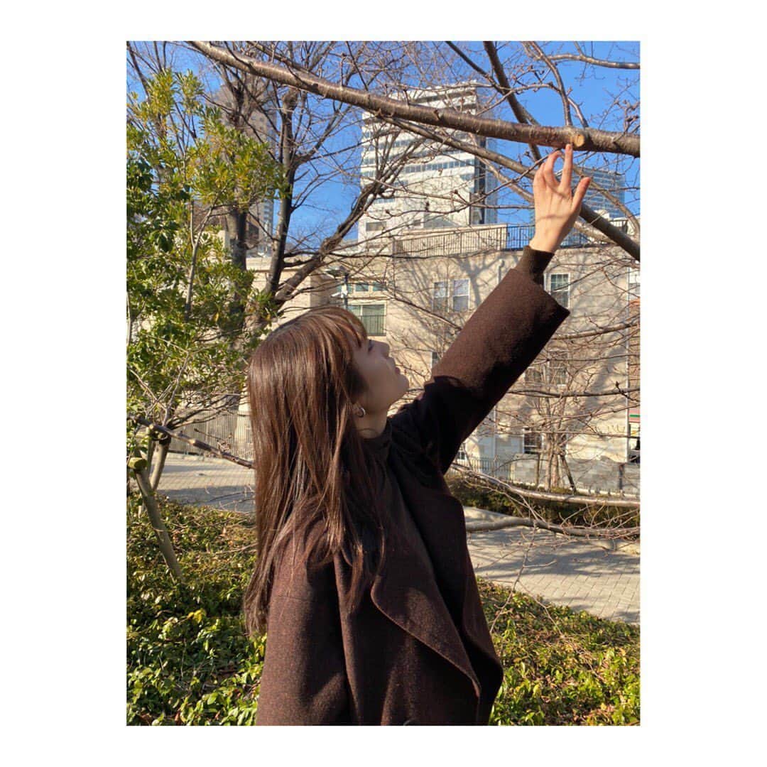 水谷果穂さんのインスタグラム写真 - (水谷果穂Instagram)「お散歩がてら友達と写真撮り合いっこ🚶‍♀️🚶‍♀️」2月23日 18時45分 - kahomizutani_official