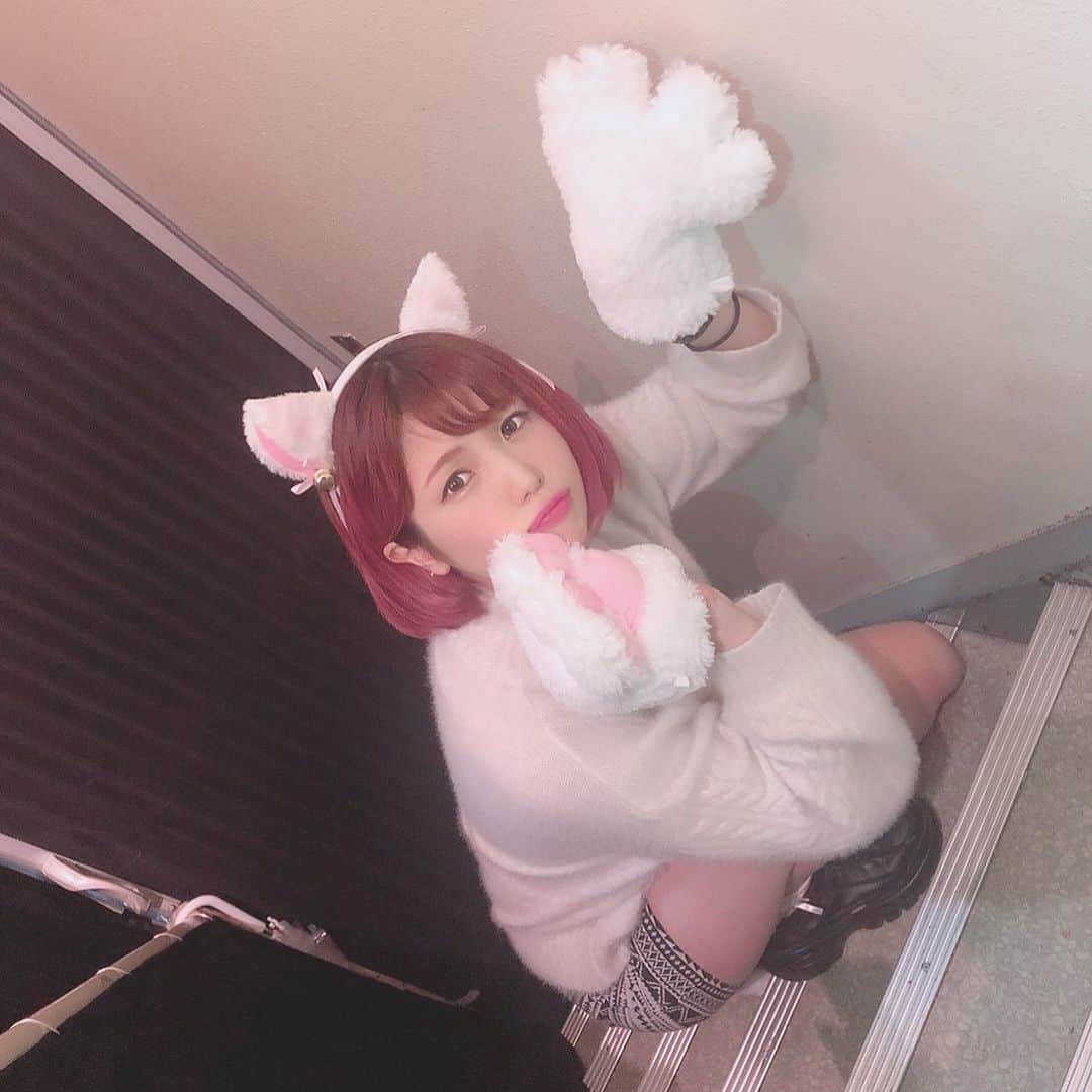 のインスタグラム：「まひねこてん飼ってみる？. 自由気ままな天真爛漫にゃんこですが、懐いたら尽くします🐱. エサを与えないと不機嫌になりますのでご注意下さい♥️ . . #ねこの日 #猫の日 #にゃんにゃんにゃん」