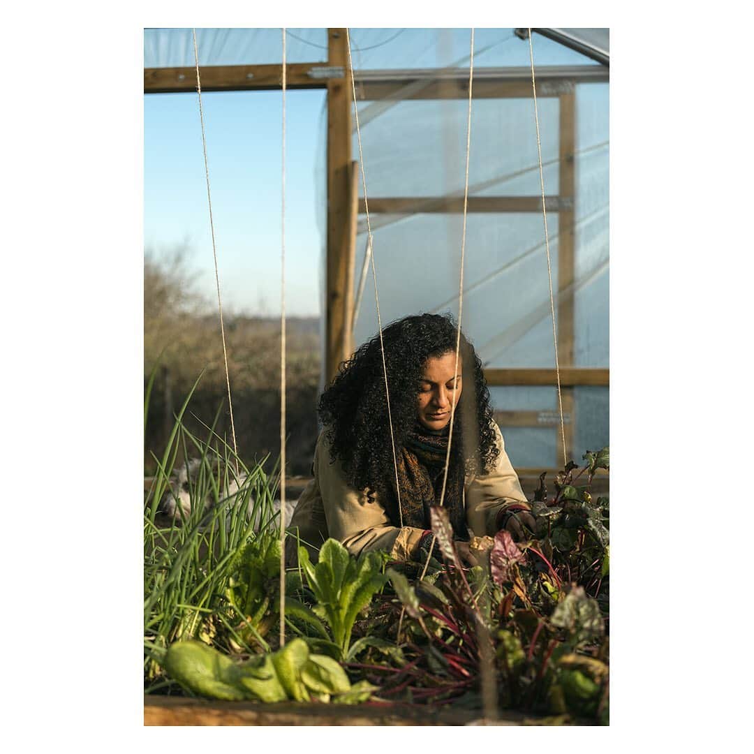 The Modern Houseさんのインスタグラム写真 - (The Modern HouseInstagram)「In our new Gardener’s Diary series, organic grower @claireratinon will be sharing her know-how for ensuring an abundant harvest at home. For this edition, she shares her tips on late-winter seed sowing for those of you who are keen to get a head start on the growing season. Click the link in our bio to read more.」2月23日 19時09分 - themodernhouse