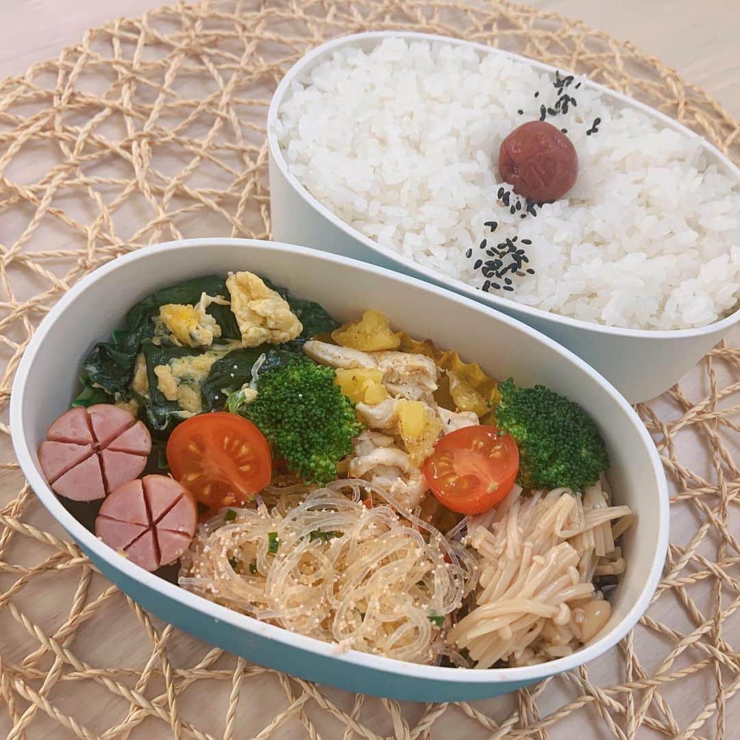 のインスタグラム：「#今日のお弁当  #ほうれん草の卵とじ#ささみとたくあんの胡麻和え#えのきのポン酢和え#春雨明太子炒め#ウインナー  #しそ昆布おにぎり🍙  #お弁当 #本田弁当 #旦那さん弁当 #神ちゃん弁当」