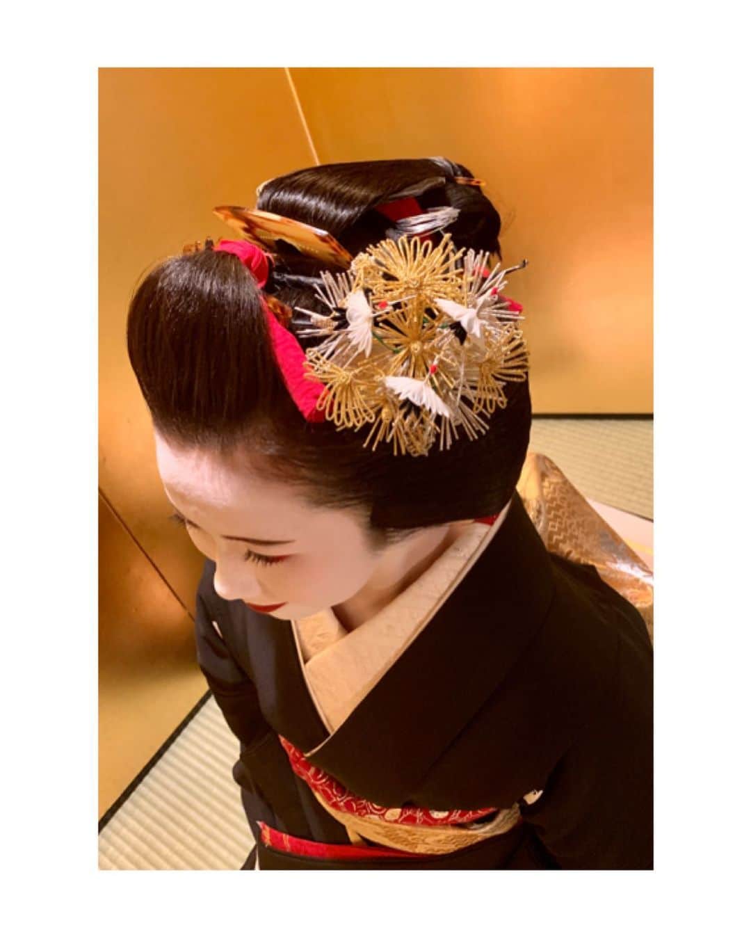 川村亜紀さんのインスタグラム写真 - (川村亜紀Instagram)「祇園甲部の舞妓さんの小衿ちゃんが襟替えです。 小衿ちゃんは鶴の簪でした。とってもお綺麗です。 小衿ちゃん、襟替えおめでとうございます。  #お着物 や #花街 #歌舞伎 など #日本の伝統 が長く守られ受け継がれますように。  #maiko #erikae #geiko #gion #kyoto #koeri #japanesetradition #importanttraditions  #先笄 #衿替え #襟替え #黒髪 #黒紋付 #美しい #舞妓さん から #芸妓さん へ #小衿 ちゃん #おめでとうございます  #日本の伝統 #日本の美 #守るべきもの  #京都 #祇園 #祇園甲部 #廣島屋」2月23日 10時55分 - _aki1015_