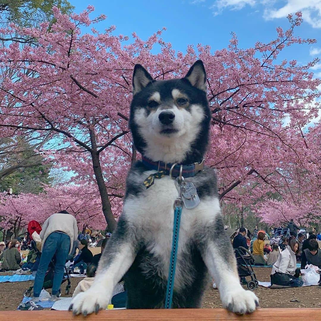 くろのインスタグラム