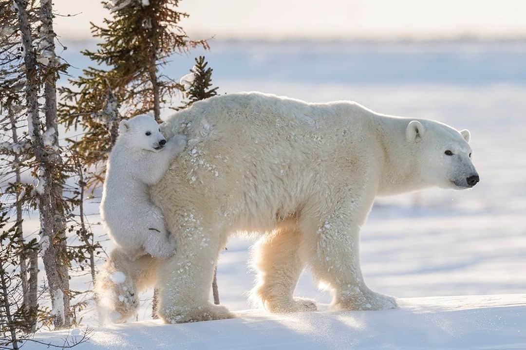 National Geographic Travelのインスタグラム