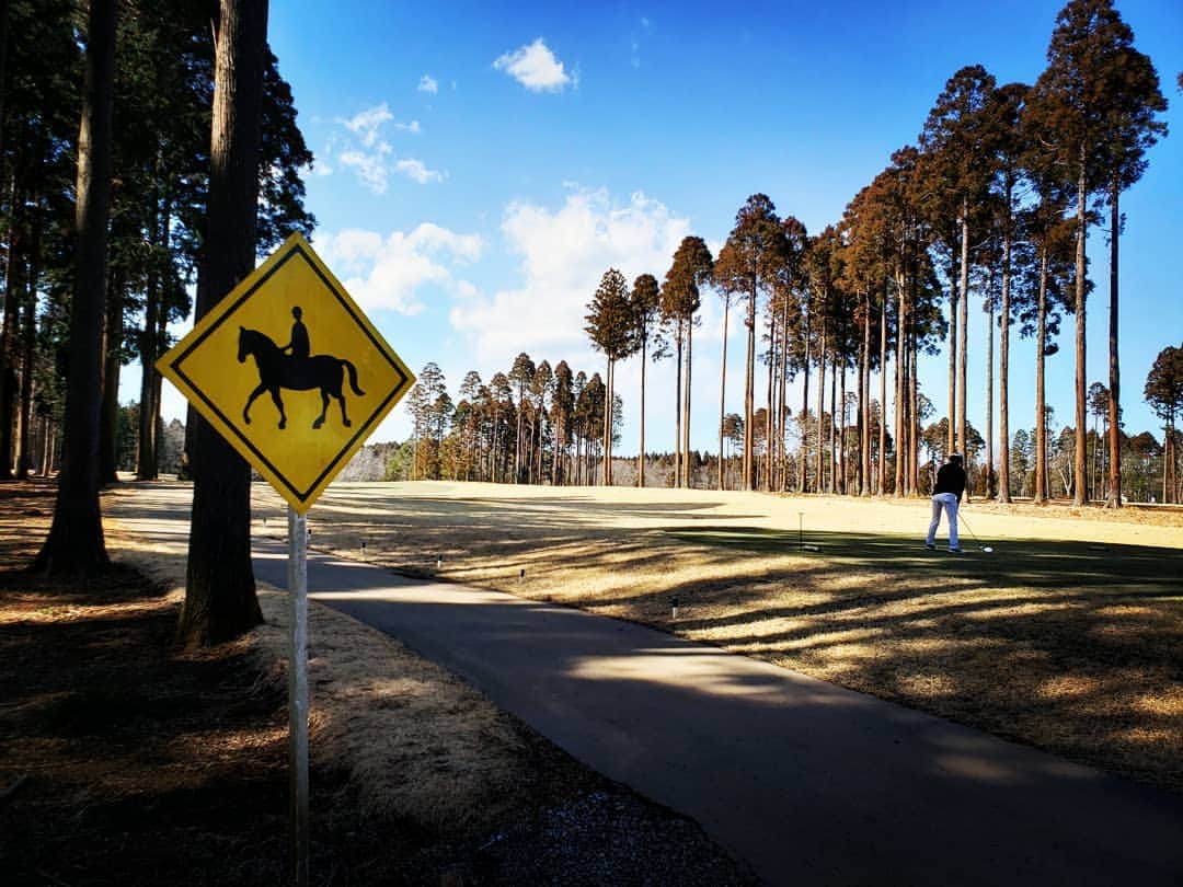 上杉隆さんのインスタグラム写真 - (上杉隆Instagram)「馬に注意🐴！」2月23日 15時54分 - takashiuesugi