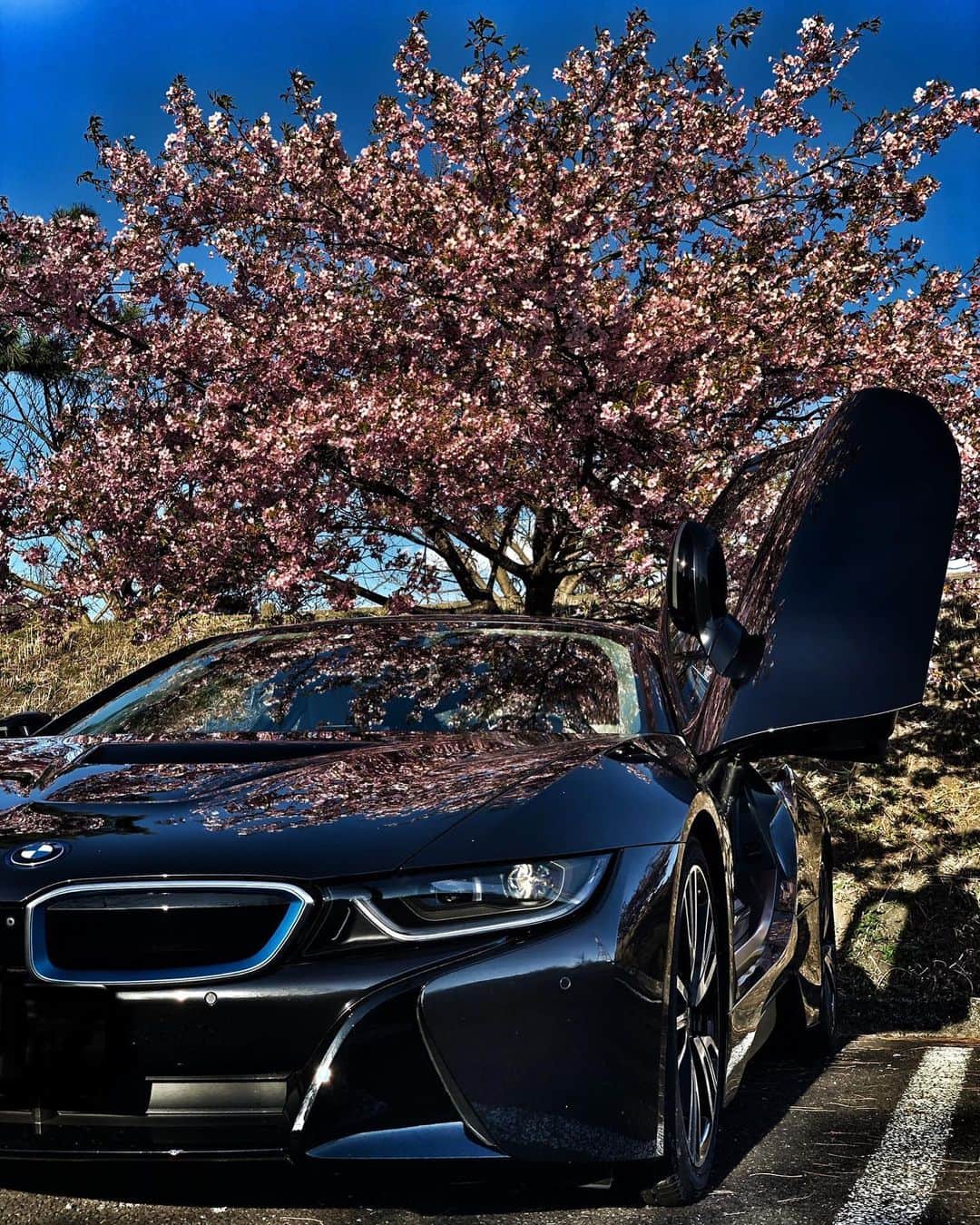 のインスタグラム：「SAKURA🌸  #さくら  #桜  #bmw  #bmwi8  #i8  #japan #マッスルアングラー」