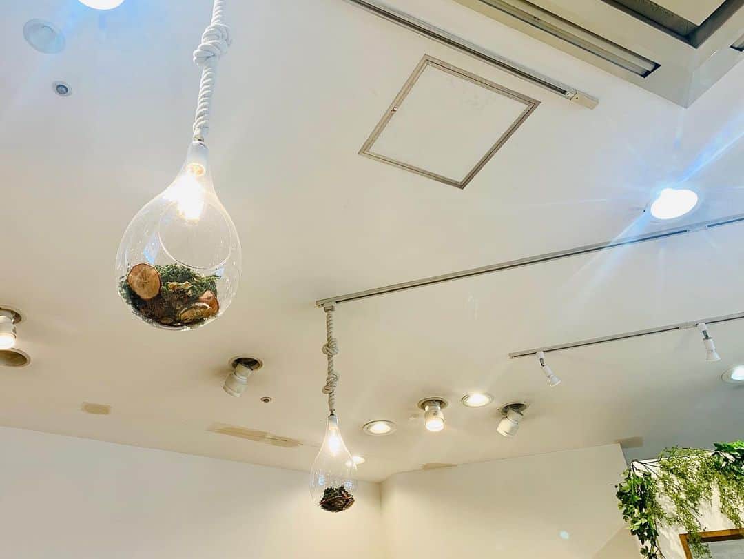 澤田愛美さんのインスタグラム写真 - (澤田愛美Instagram)「. CAFE202のふくふくパンケーキ🥺 10センチくらいありそう🤭見るからにふくふく🥺💕 もっちりとした弾力があって、 シフォンケーキみたいでした🤤💭 お店の照明もかわいい😊❣️ .  #カフェめぐり  #CAFE202 #弘前カフェ」2月23日 17時03分 - amy____oxox