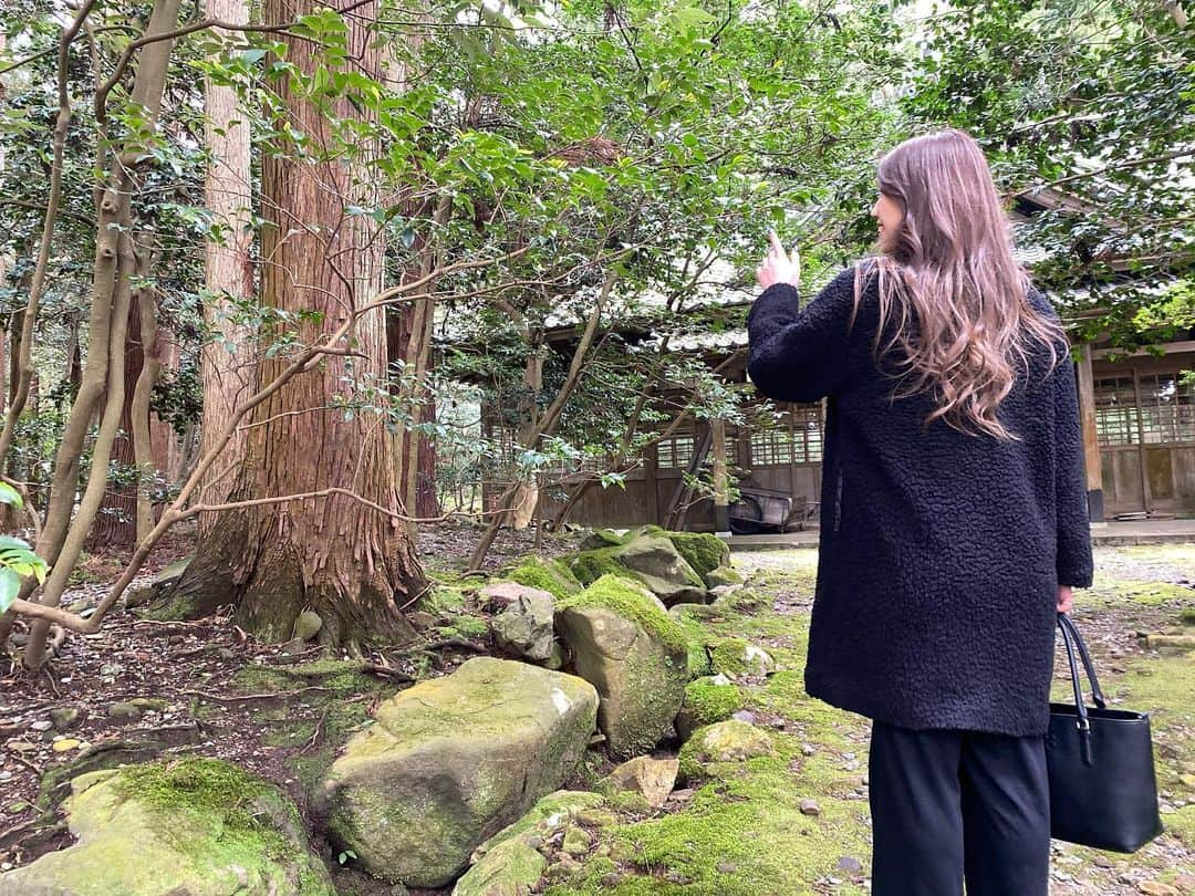 宮川杏奈さんのインスタグラム写真 - (宮川杏奈Instagram)「弥彦神社⛩ 初めて来たーって言ったら ママに子供の頃に来た事あるって言われて ビックリ😳💕 . #女子旅 #海鮮の旅 #海の幸 #海鮮は低糖質 #低糖質の旅 #低糖質旅行 #普通のビール1本飲んじゃったけど #低糖質 #刺身 #蟹 #浜焼き #寺泊 #きんぱちの湯 #温泉 #温泉旅行 #食べ歩き #グルメ女子  #弥彦神社 #神社 #参拝日和」2月23日 17時28分 - an1221na